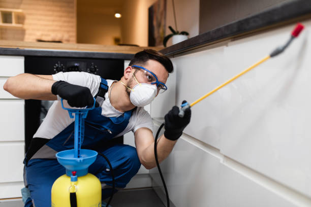 Best Exterminator Services  in Coleman, MI