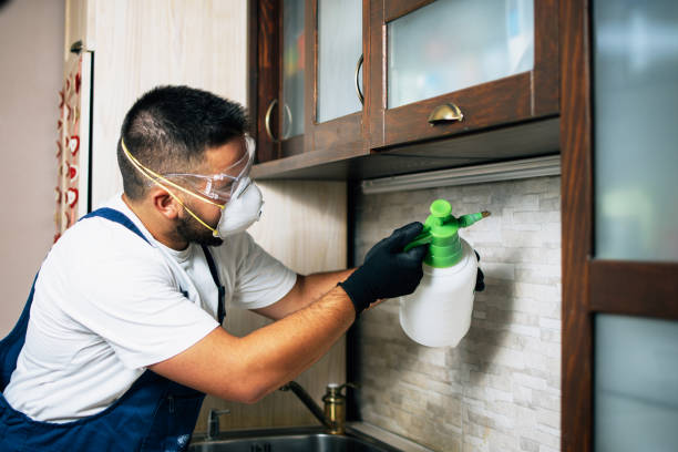 Best Pest Removal Services  in Coleman, MI