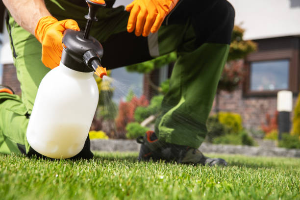 Best Flea Control Services  in Coleman, MI