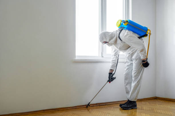 Best Residential Pest Control  in Coleman, MI
