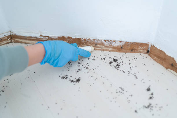 Pest Control for Restaurants in Coleman, MI